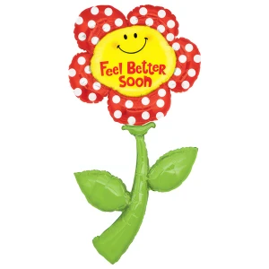 60 inch (152 cm) Grabo Special Delivery Fresh Picks Feel Better folie ballon