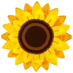 22 inch (56 cm) Grabo Autumn Sunflower folie ballon