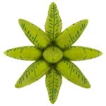 27 Inch (68 cm) Grabo Satin Deco-Tropical Leaves folie ballon