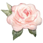 36 Inch (91 cm) Qualatex Pink Watercolor Rose folie ballon