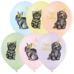 D11 (30 cm) Belbal Birhtday Pets ballonnen