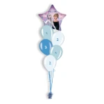 Zelf samenstellen Frozen (#94991)