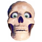 28 cm (71 inch) Anagram Skull folie ballon