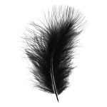 Enkels Marabou veren 12-15 cm (100 gram)